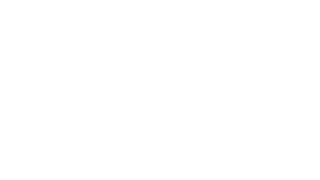 Evobrig